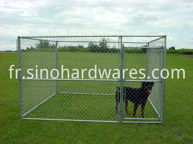 Dog-Cage